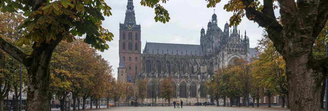 Een korte gids voor Den Bosch